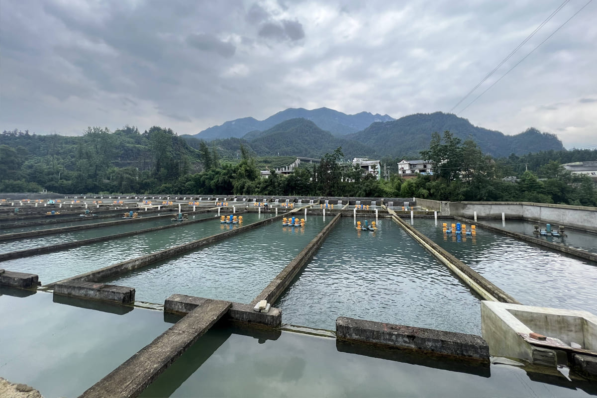 大型水产养殖场