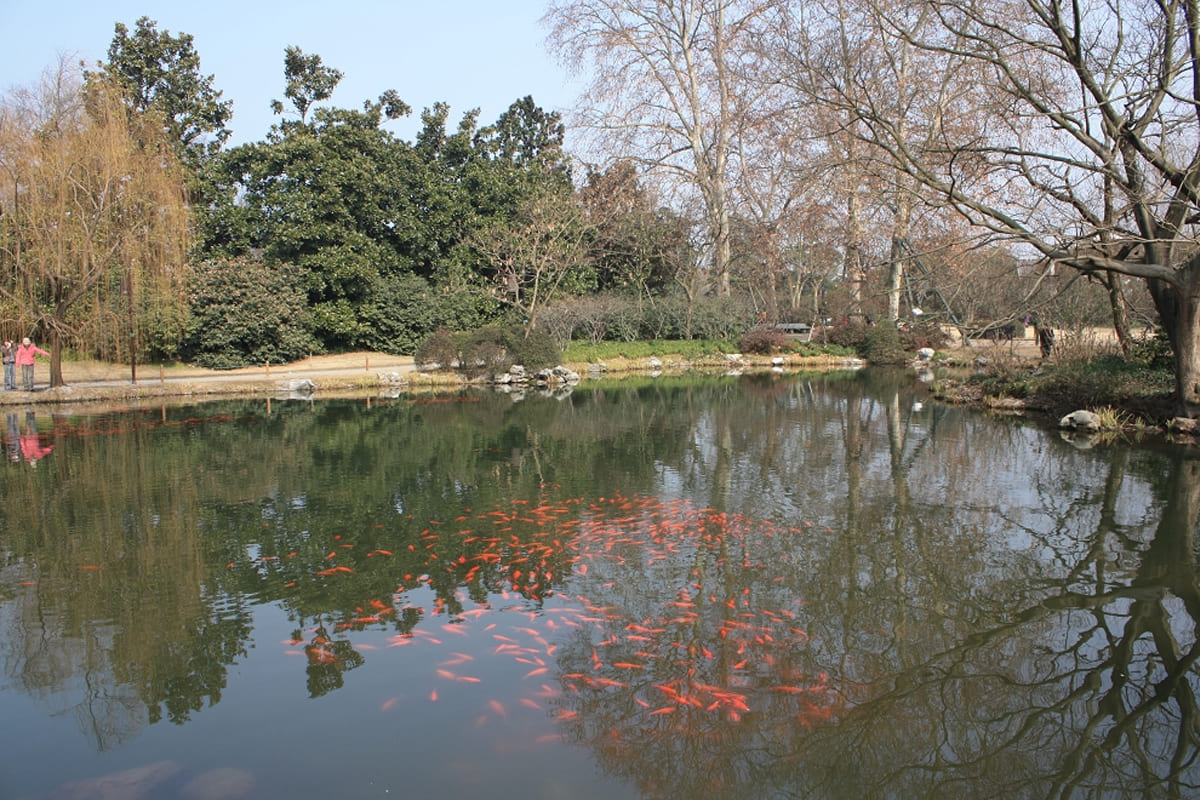 大型户外生态景观水