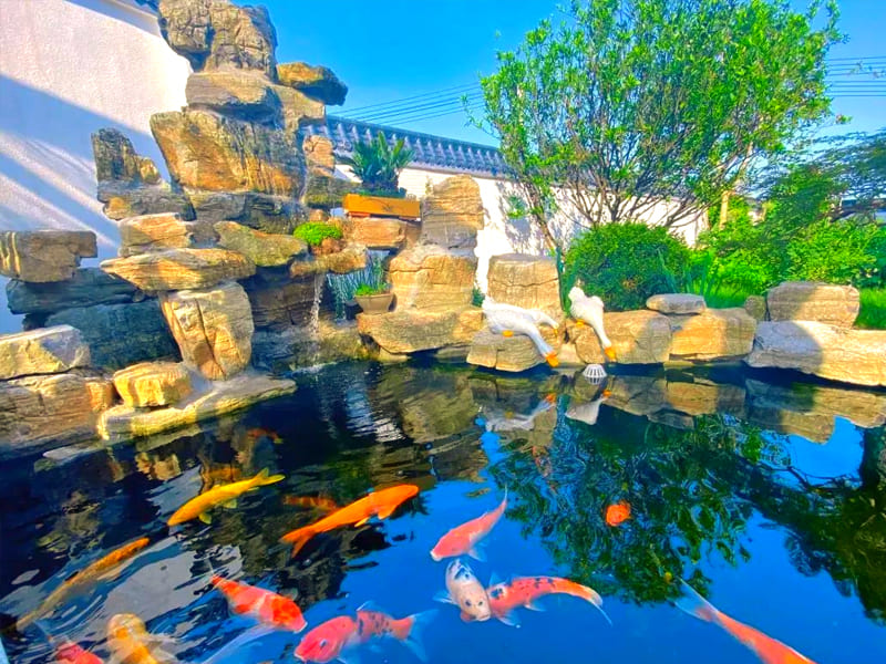 产品参数与选型